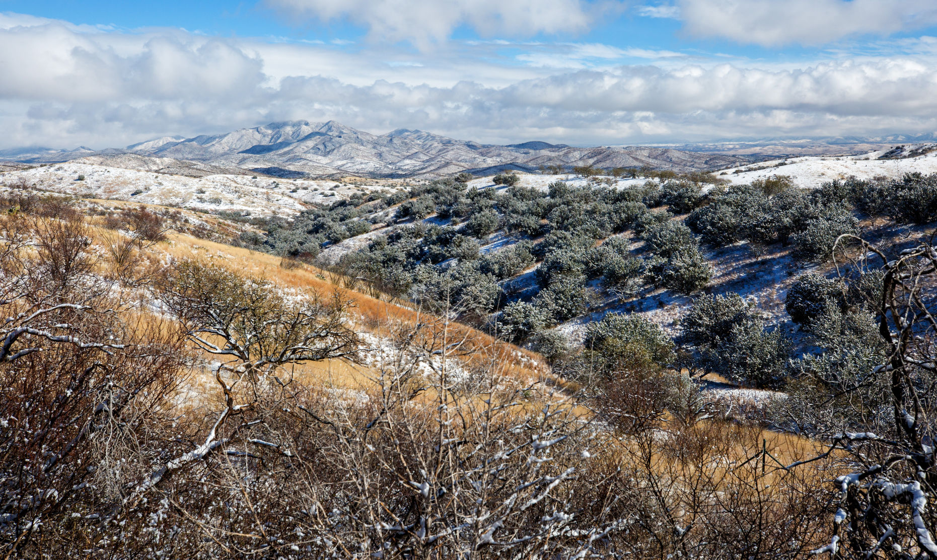 Snow in southeast Arizona